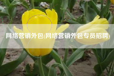 网络营销外包(网络营销外包专员招聘)