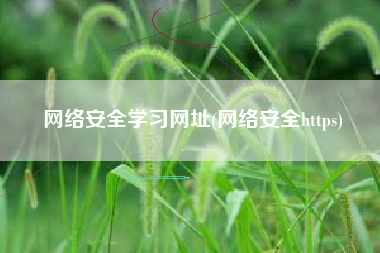 网络安全学习网址(网络安全https)