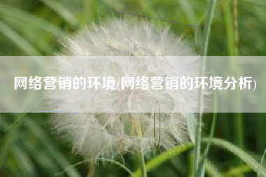 网络营销的环境(网络营销的环境分析)