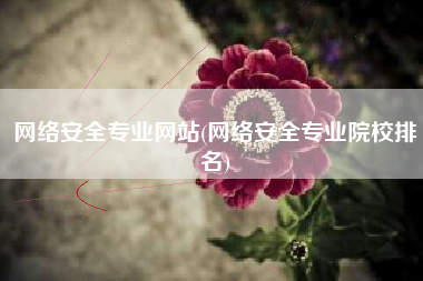 网络安全专业网站(网络安全专业院校排名)