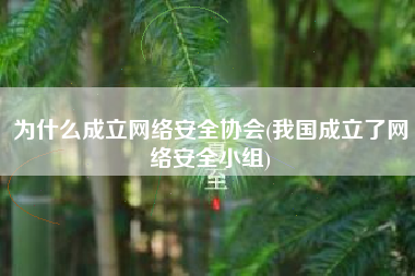 为什么成立网络安全协会(我国成立了网络安全小组)