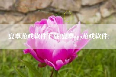 安卓游戏软件下载(安卓app游戏软件)