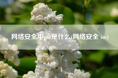 网络安全中poc是什么(网络安全 ioc)