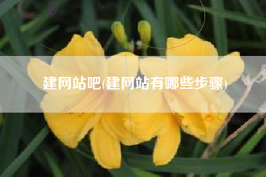 建网站吧(建网站有哪些步骤)
