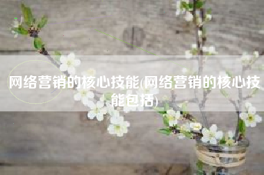 网络营销的核心技能(网络营销的核心技能包括)