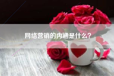 网络营销的内涵是什么？