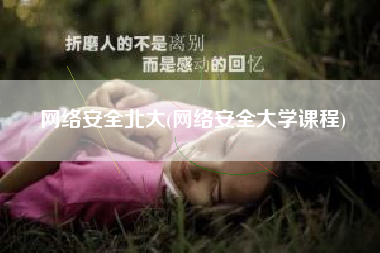 网络安全北大(网络安全大学课程)