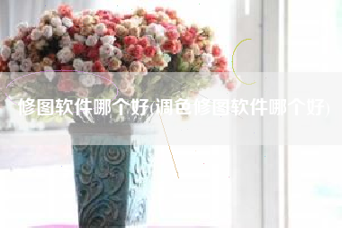 修图软件哪个好(调色修图软件哪个好)