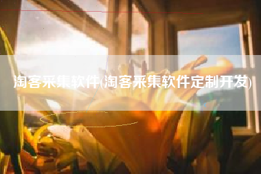 淘客采集软件(淘客采集软件定制开发)