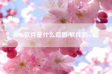 oem软件是什么意思(软件的oem)