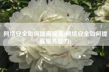 网络安全如何提高服务(网络安全如何提高服务能力)