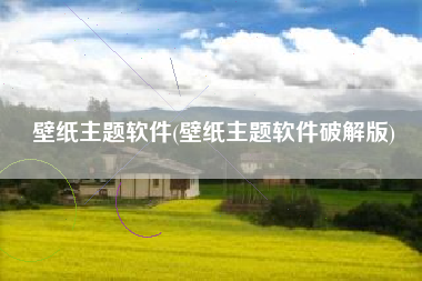 壁纸主题软件(壁纸主题软件破解版)