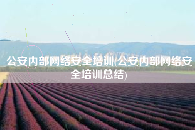 公安内部网络安全培训(公安内部网络安全培训总结)