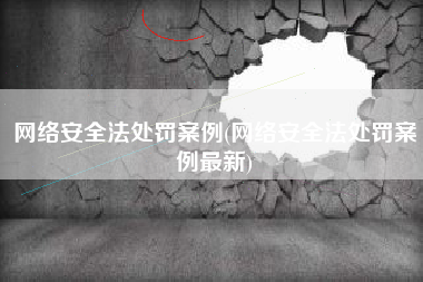 网络安全法处罚案例(网络安全法处罚案例最新)