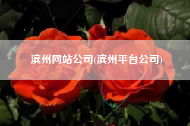 滨州网站公司(滨州平台公司)