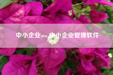 中小企业seo 中小企业管理软件