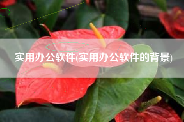 实用办公软件(实用办公软件的背景)