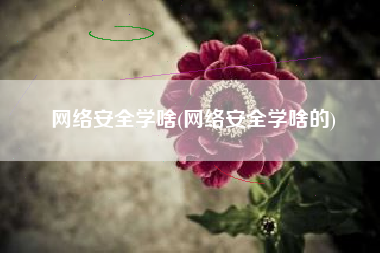 网络安全学啥(网络安全学啥的)