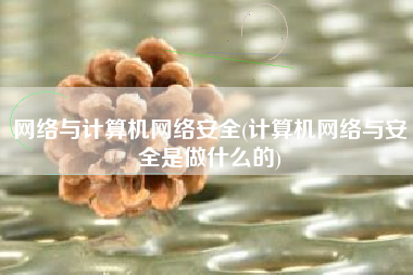 网络与计算机网络安全(计算机网络与安全是做什么的)