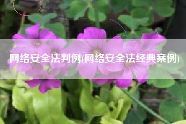 网络安全法判例(网络安全法经典案例)