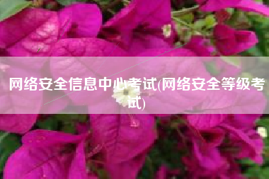 网络安全信息中心考试(网络安全等级考试)