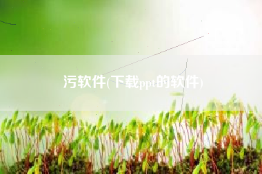 污软件(下载ppt的软件)