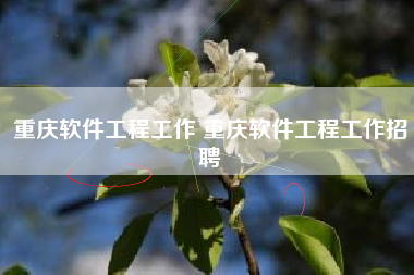 重庆软件工程工作 重庆软件工程工作招聘