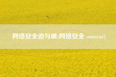 网络安全迫与破(网络安全 sunwear)