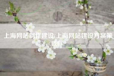 上海网站制作建设(上海网站建设方案策划)