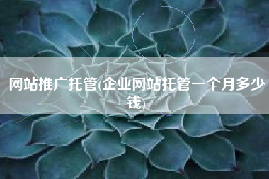 网站推广托管(企业网站托管一个月多少钱)