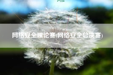 网络安全理论赛(网络安全总决赛)