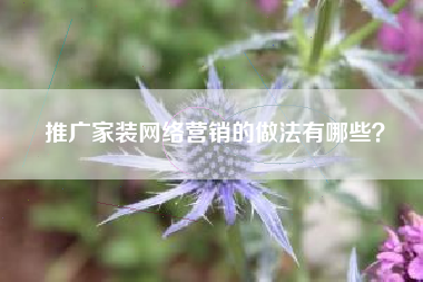 推广家装网络营销的做法有哪些？