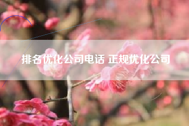 排名优化公司电话 正规优化公司