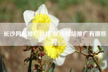 长沙网站推广价格(长沙网站推广有哪些啊)