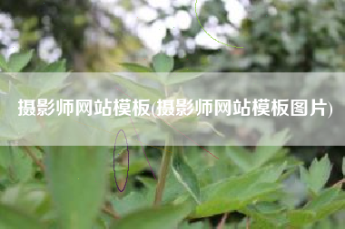 摄影师网站模板(摄影师网站模板图片)