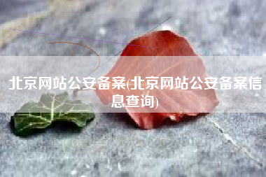 北京网站公安备案(北京网站公安备案信息查询)