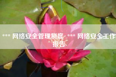 *** 网络安全管理制度  *** 网络安全工作报告