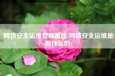 网络安全运维管理系统(网络安全运维是做什么的)
