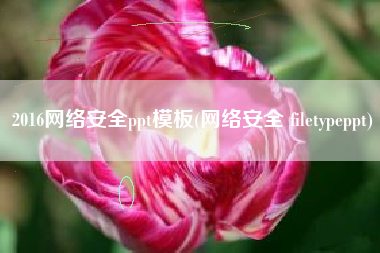 2016网络安全ppt模板(网络安全 filetypeppt)