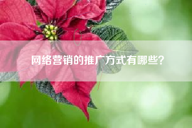 网络营销的推广方式有哪些？