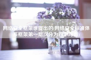 网络安全框架谁提出的(网络安全标准体系框架第一层次分为四个方面)