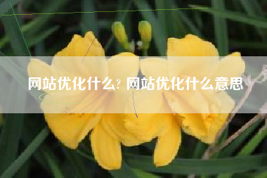 网站优化什么? 网站优化什么意思