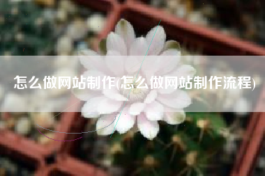 怎么做网站制作(怎么做网站制作流程)