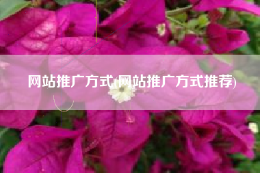 网站推广方式(网站推广方式推荐)