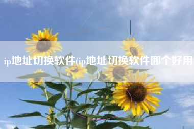ip地址切换软件(ip地址切换软件哪个好用)