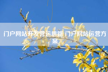 门户网站开发营运思路 门户网站运营方案