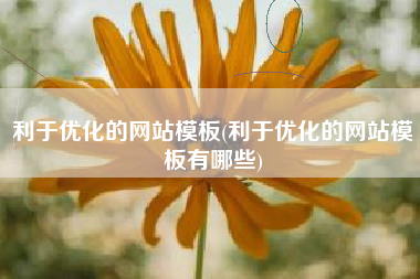 利于优化的网站模板(利于优化的网站模板有哪些)