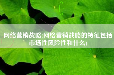 网络营销战略(网络营销战略的特征包括市场性风险性和什么)
