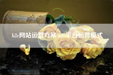 b2c网站运营方案 b2c平台运营模式