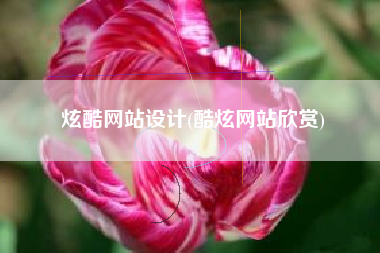 炫酷网站设计(酷炫网站欣赏)